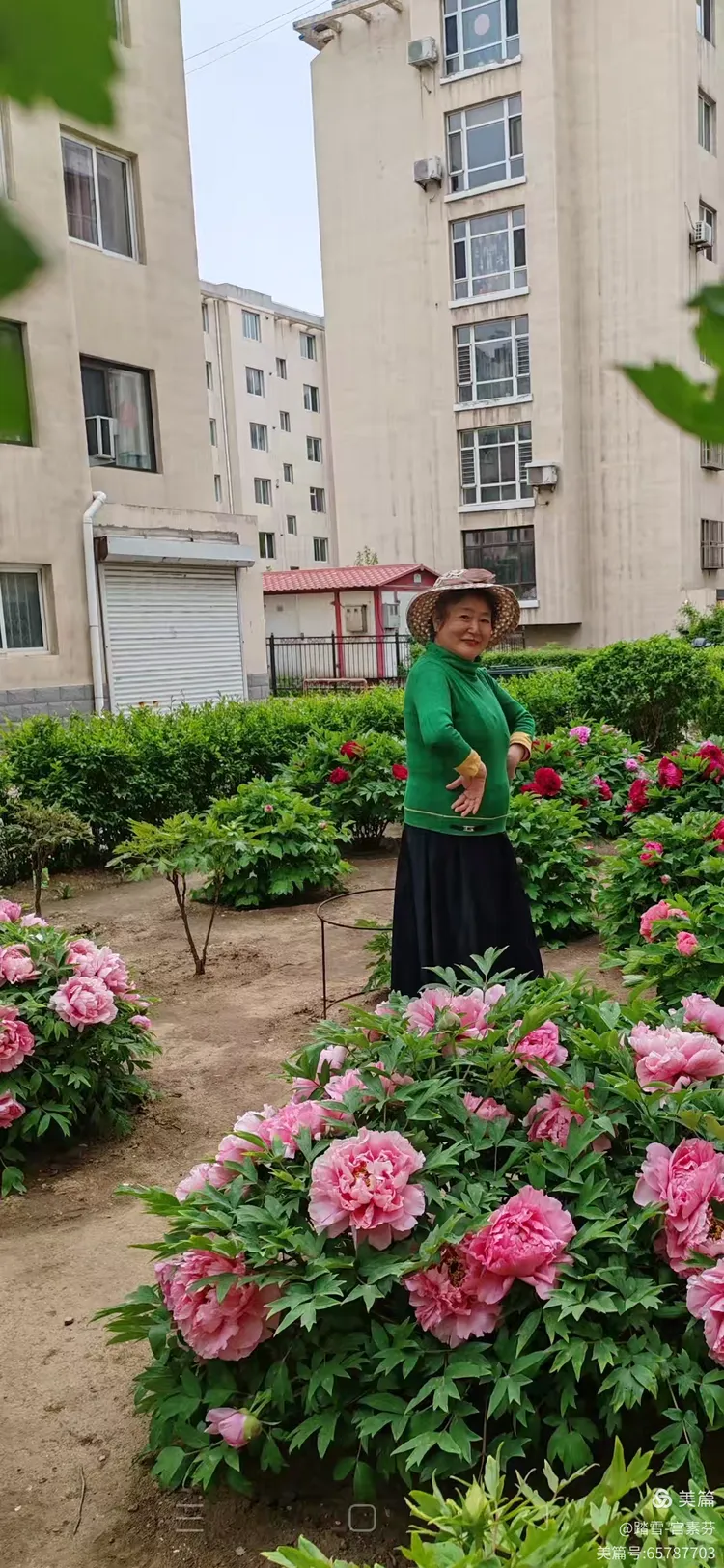 海城百汇香山小区的音乐与花香之旅